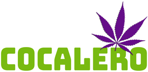 WeedCashNetwork CBD HHC Cannabis Shop hochdosiert und preiswert logo file 2