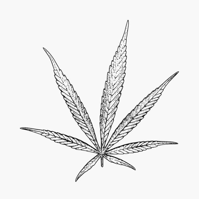 WeedCashNetwork Euphoria GbR logo file 768x768