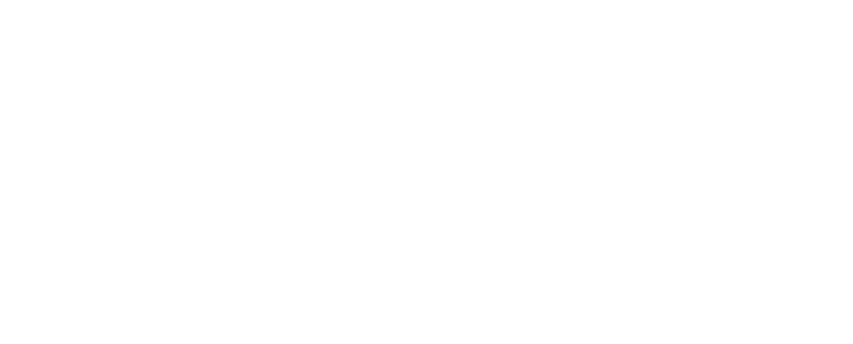 WeedCashNetwork No MerSeeds Vertriebs UG logo file 768x310