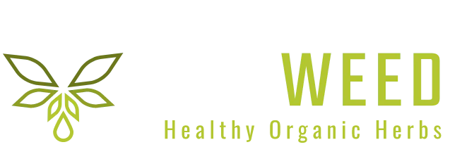 WeedCashNetwork Biosweed Premium CBD Shop – Hochwertige CBD Blueten . logo file