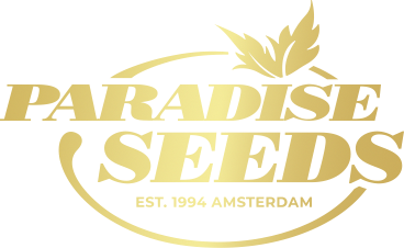 WeedCashNetwork Paradise Seeds logo file